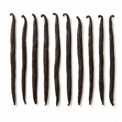 Ten whole Madagascar vanilla beans on a white background