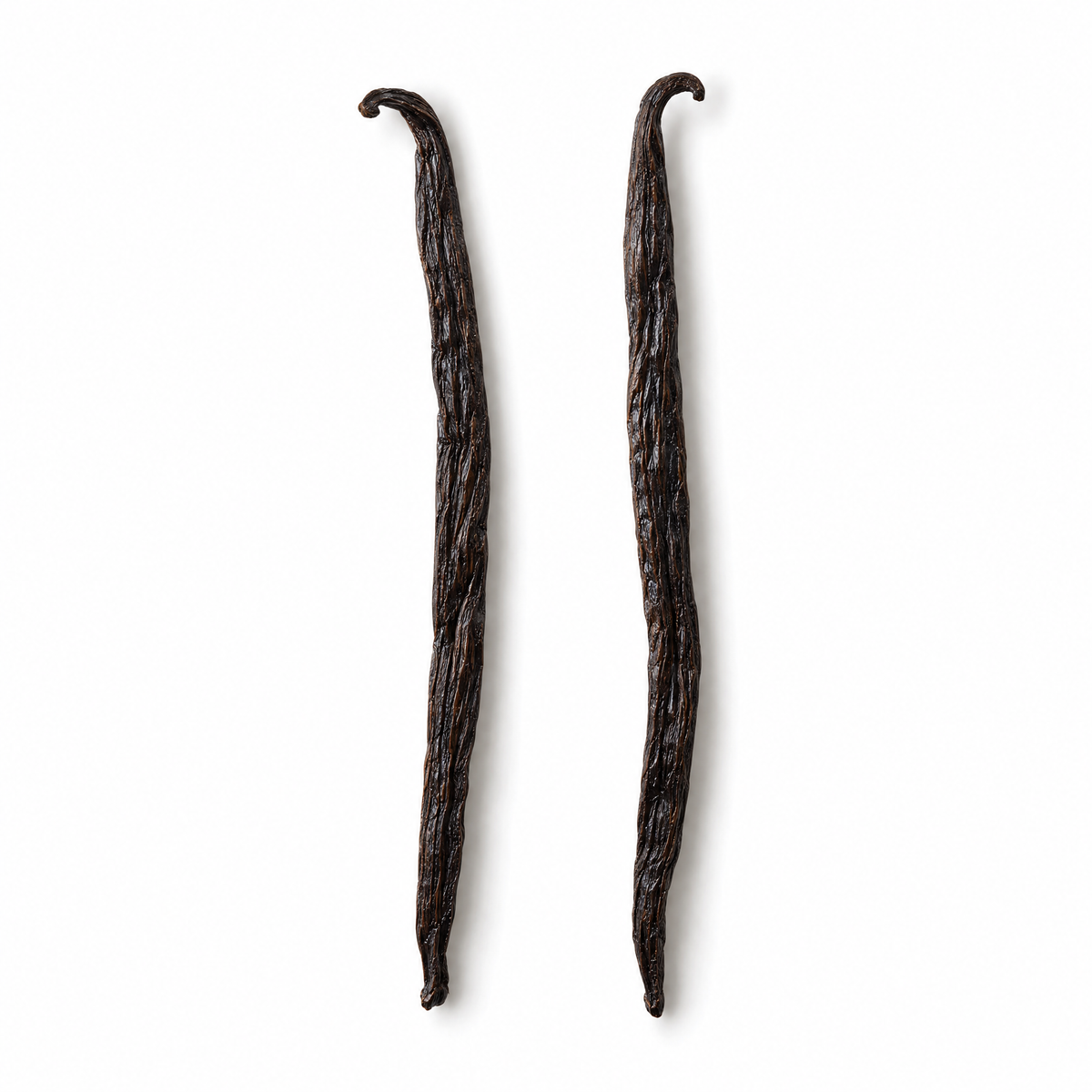 Two whole Madagascar vanilla beans on a white background