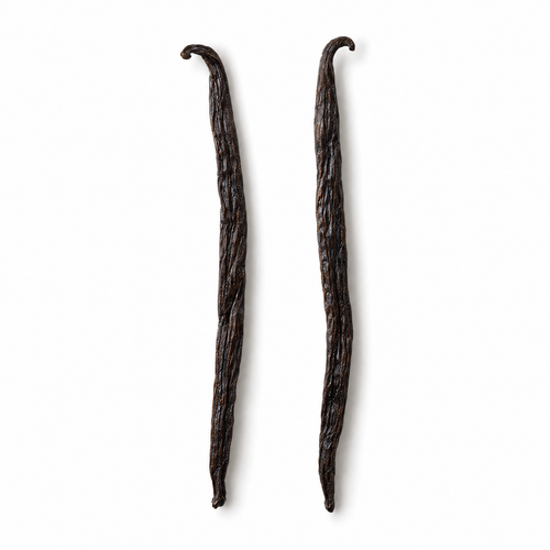 Two whole Madagascar vanilla beans on a white background