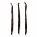 Three whole Madagascar vanilla beans on a white background