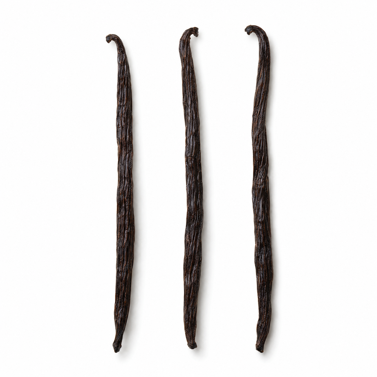 Three whole Madagascar vanilla beans on a white background
