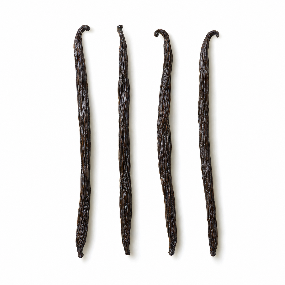 Four whole Madagascar vanilla beans on a white background