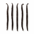 Five whole Madagascar vanilla beans on a white background