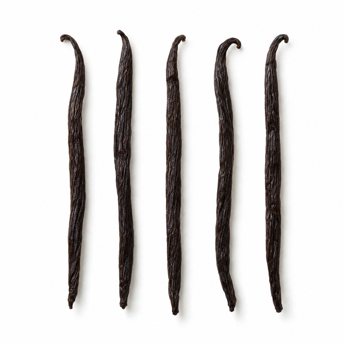 Five whole Madagascar vanilla beans on a white background